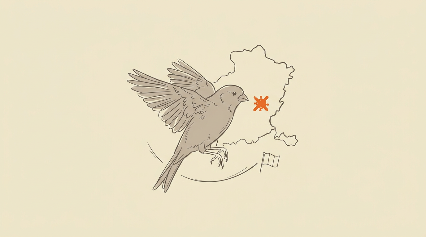 Westnijlvirus Duikt Voor Het Eerst Op Bij Vogels In Limburg