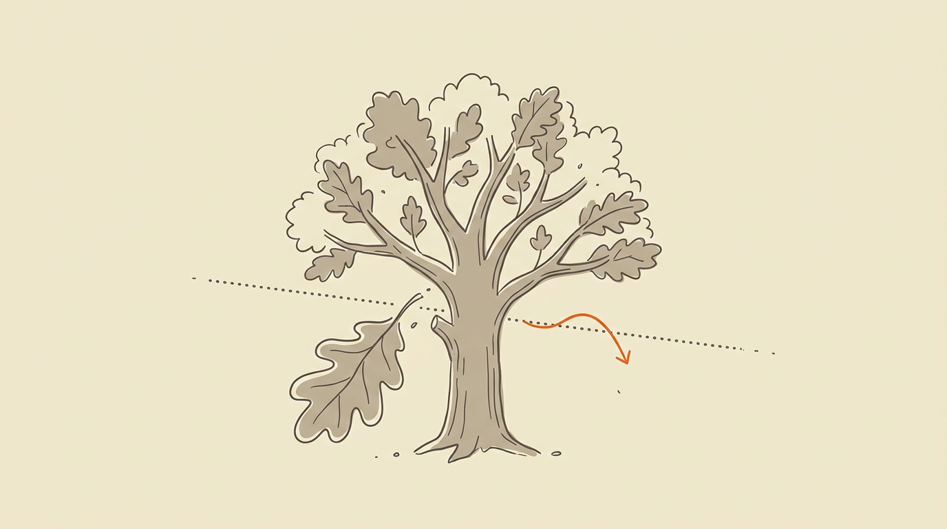 WisdomTree MidCap Dividend ETF Zakt Onder Belangrijke Technische Grens